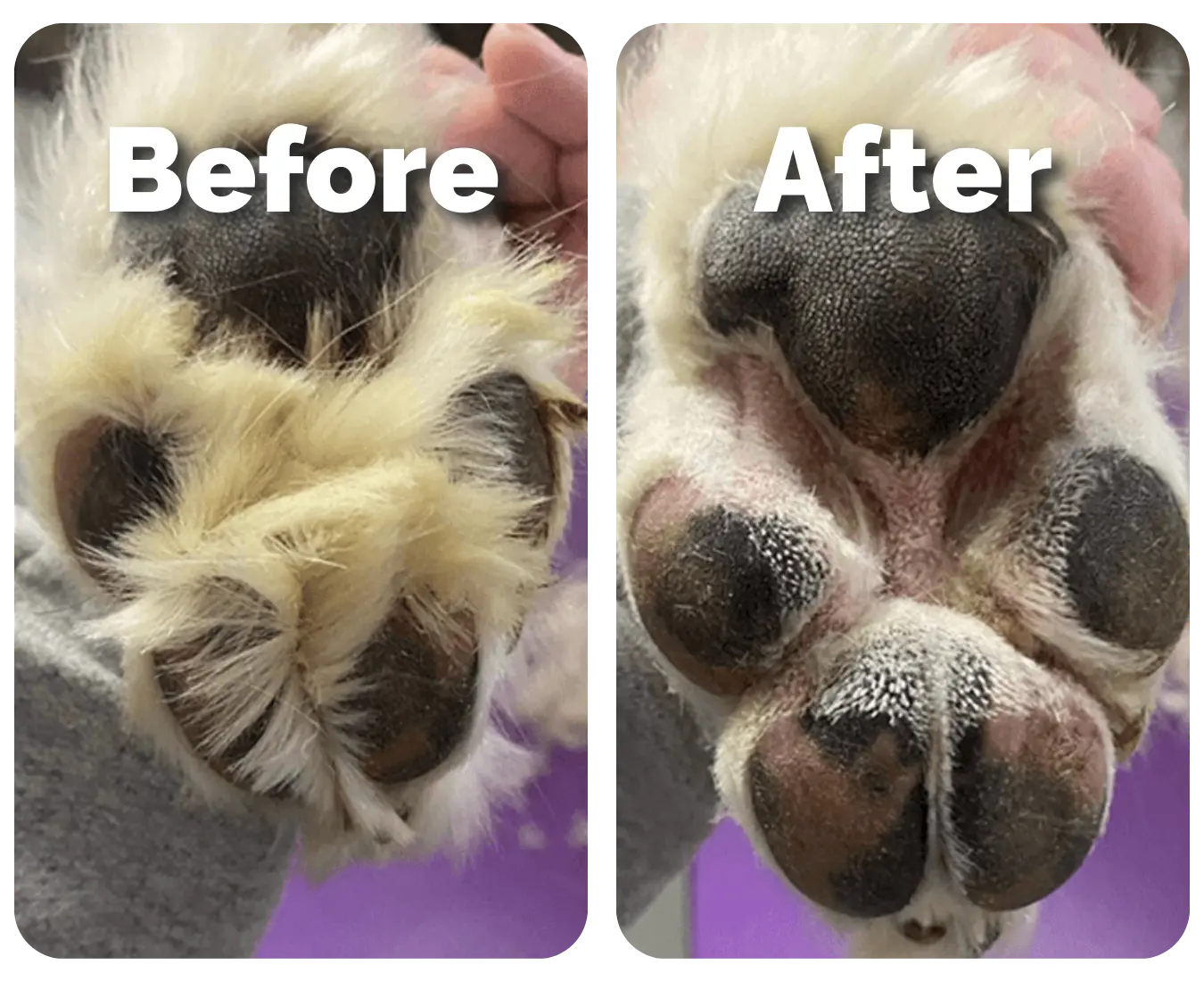 FurSleek - Precision Pet Groomer