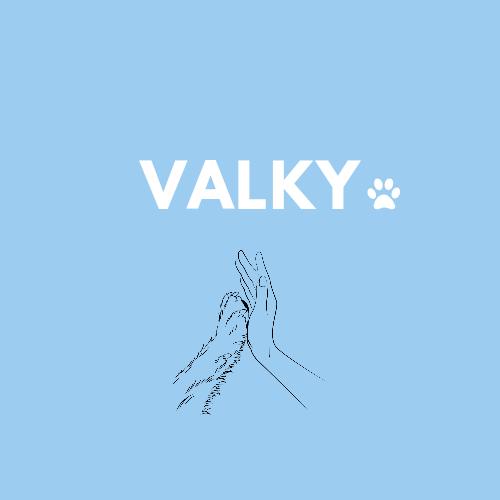 Valky Shipping Protection