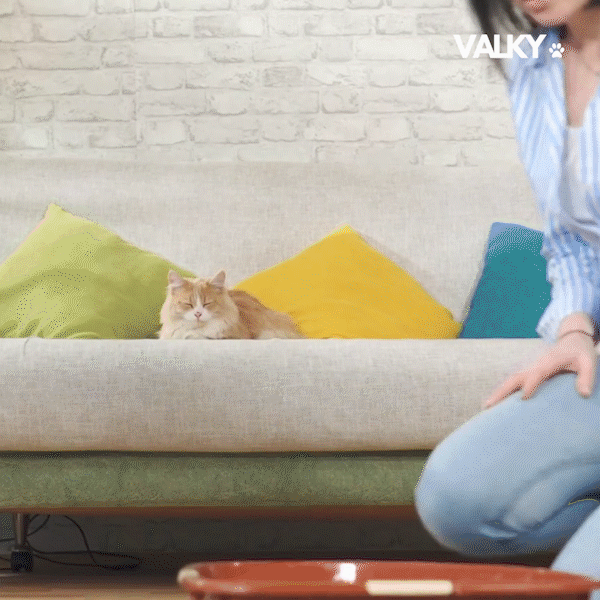 OdorShield - Pet Air Purifier