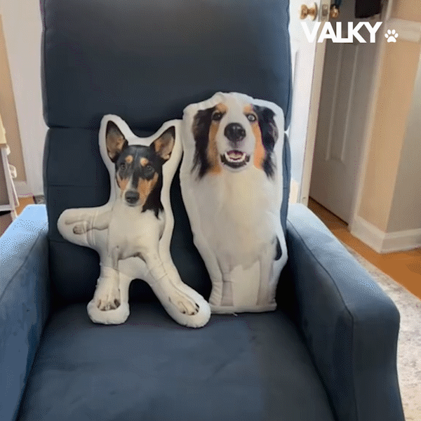 PetPic - Personalized Pillow