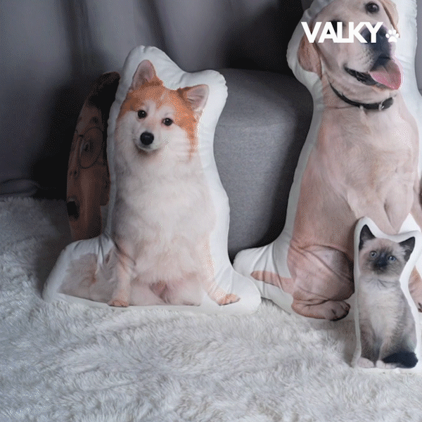 PetPic - Personalized Pillow