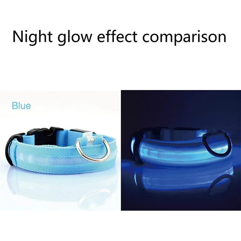 BrighPaw - Glowing Collar