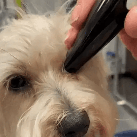FurSleek - Precision Pet Groomer