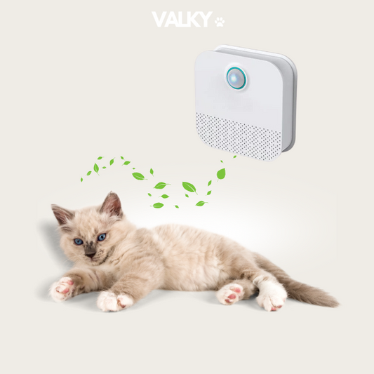 OdorShield - Pet Air Purifier
