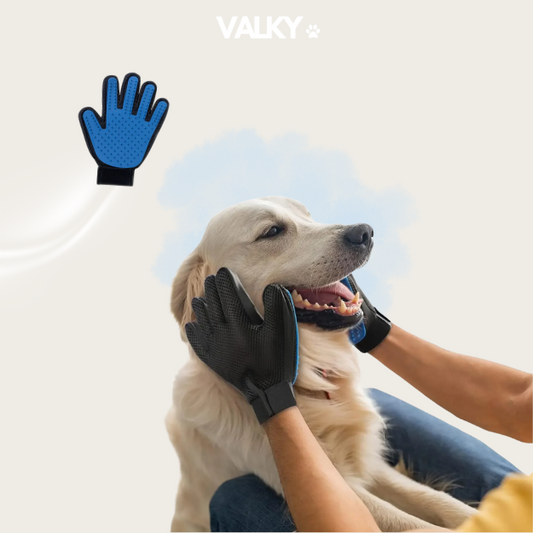 SpaScrub Glove