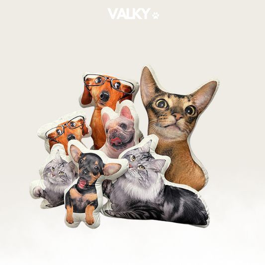 PetPic - Personalized Pillow