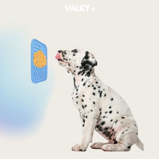 PetZen - Calming Licking Mat