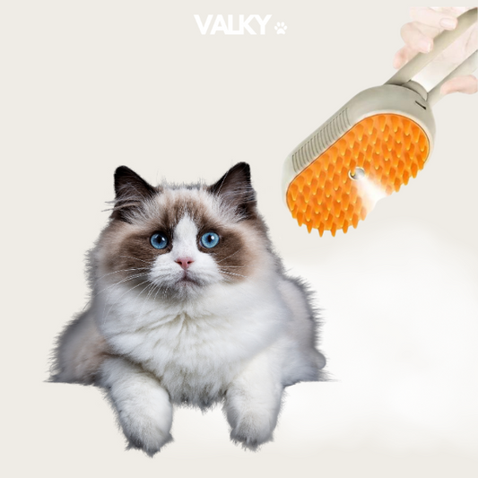 PawSteam - Spa Brush