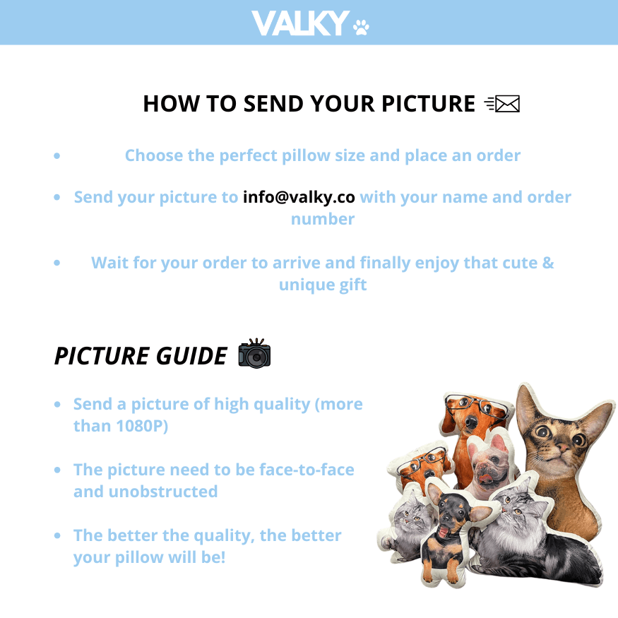 PetPic - Personalized Pillow