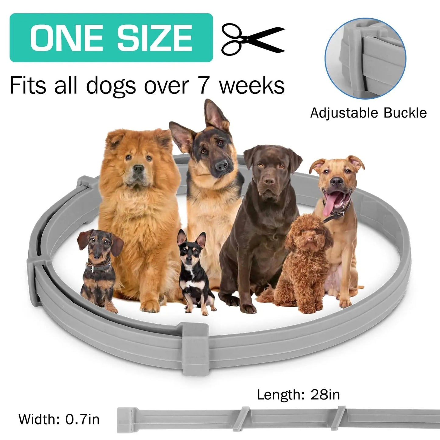 TickTok+ Collar
