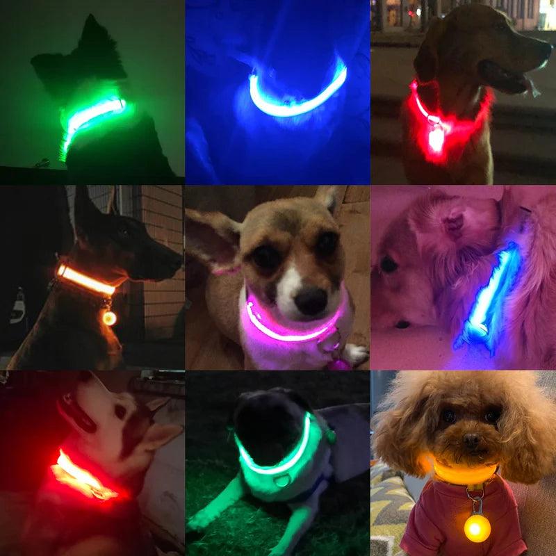 BrighPaw - Glowing Collar