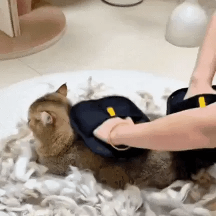 ValkyTouch™ – Pet Hair Removal Glove