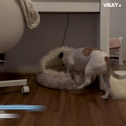 ValkyCove - Calming Pet Bed