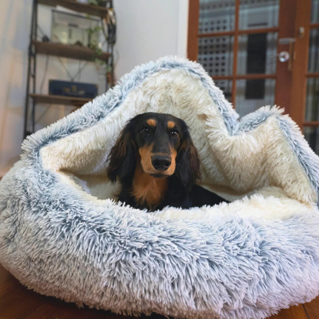 ValkyCove - Calming Pet Bed