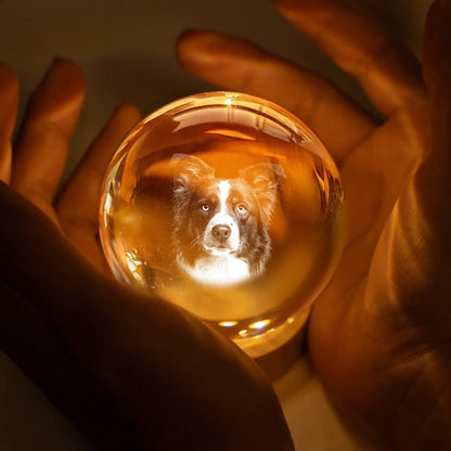 LumiPaw™ – Custom Pet Lamp