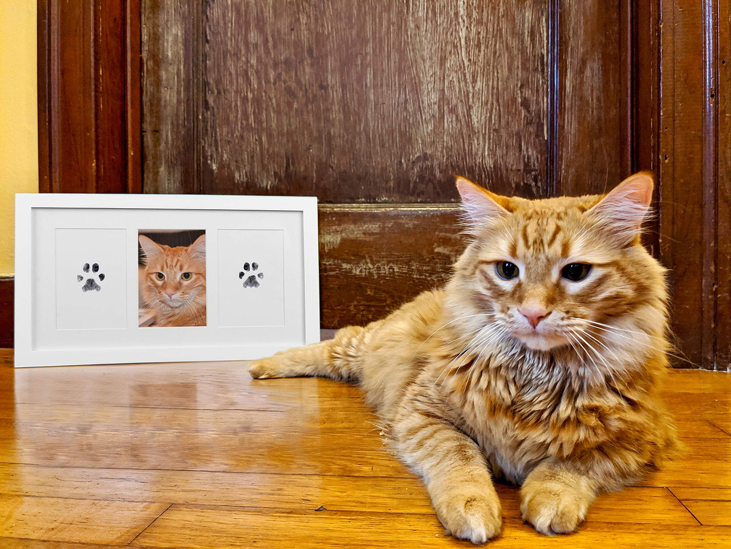 FurPrint - Paw Memory Pad