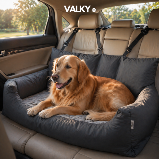 FurLounge - Car Sofa