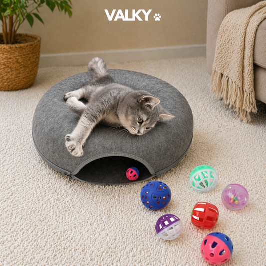 JoyRolls – Enrichment Balls (6 pieces)