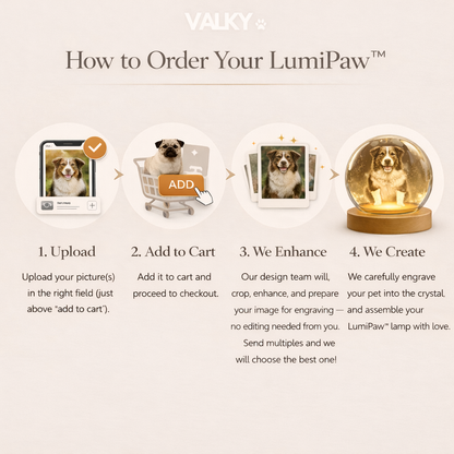 LumiPaw™ – Custom Pet Lamp