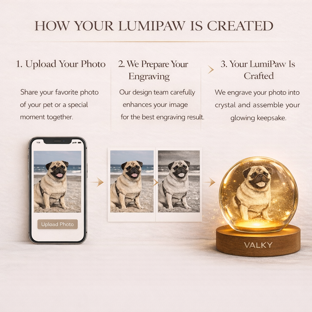 LumiPaw™ – A Warm Glow for the One You Love Most