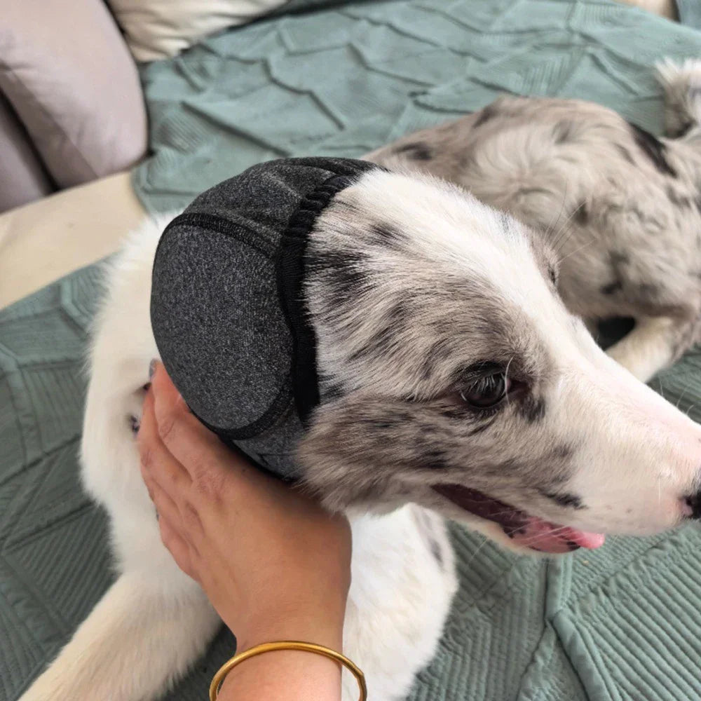 CalmWrap™ — Soothing Ear Cover