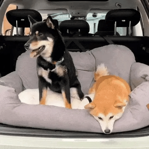 FurLounge - Car Sofa