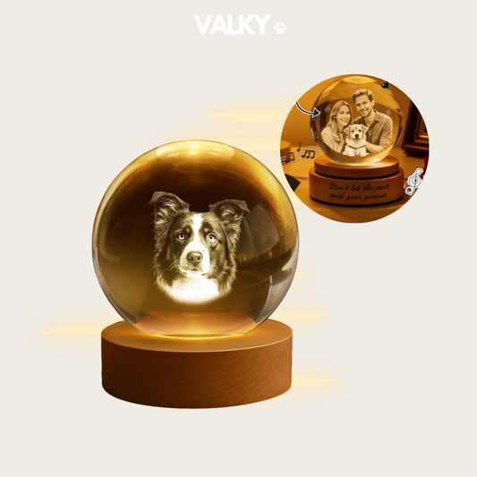 LumiPaw™ – Custom Pet Lamp