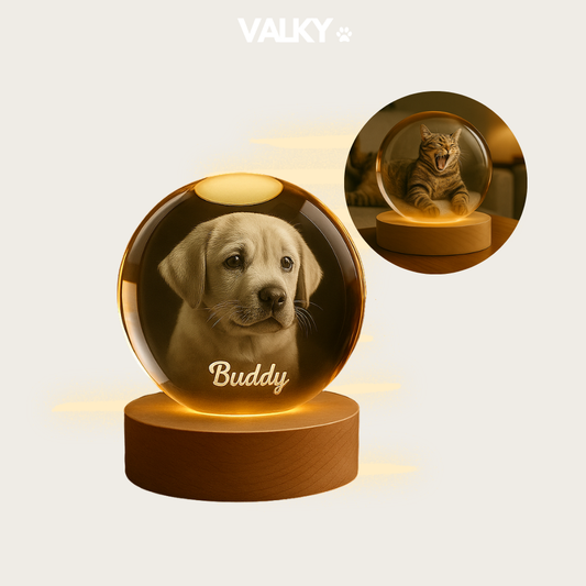 LumiPaw™ – Custom Pet Lamp