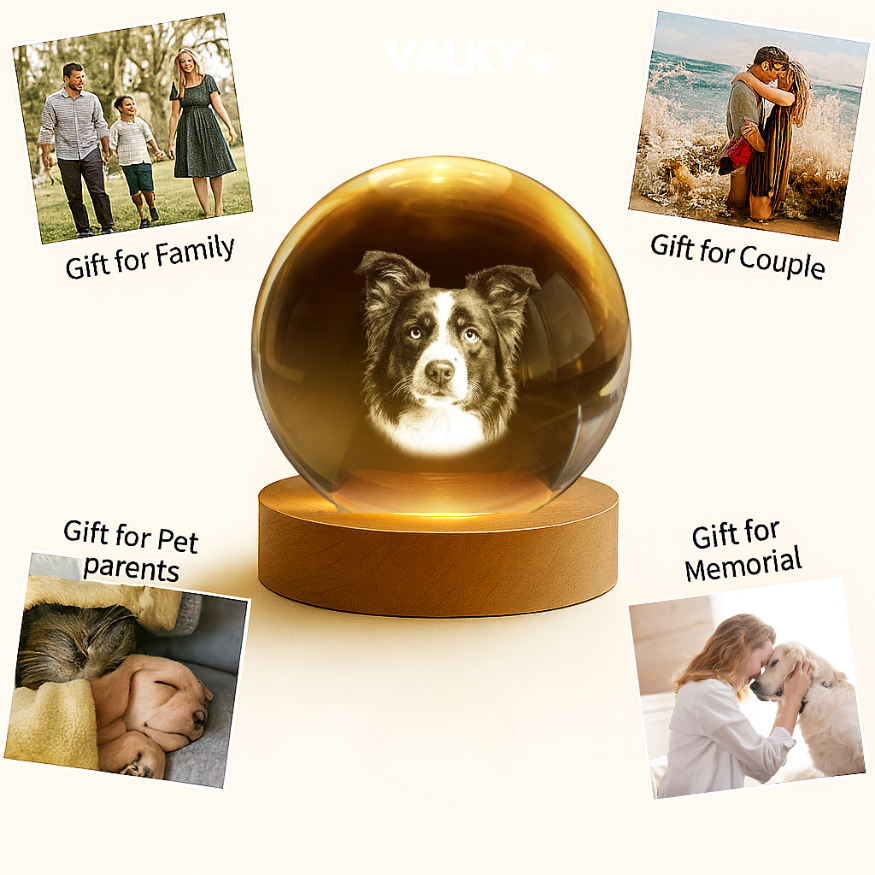 LumiPaw™ – Custom Pet Lamp