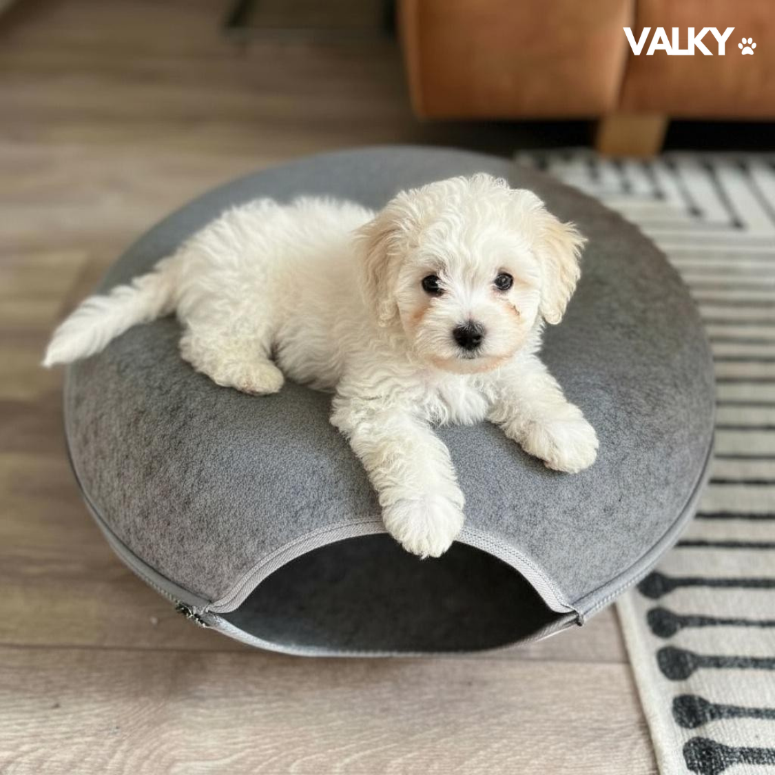 ValkyCurl™ — The Calming Tunnel Bed