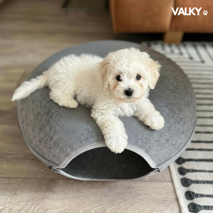 ValkyCurl™ — The Calming Tunnel Bed