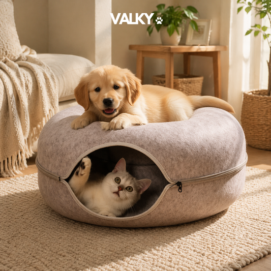 ValkyCurl™ — The Calming Tunnel Bed