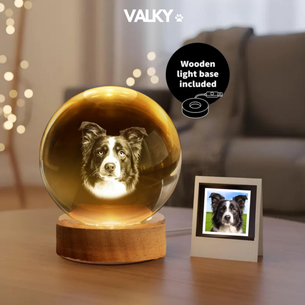 LumiPaw™ – Custom Pet Lamp