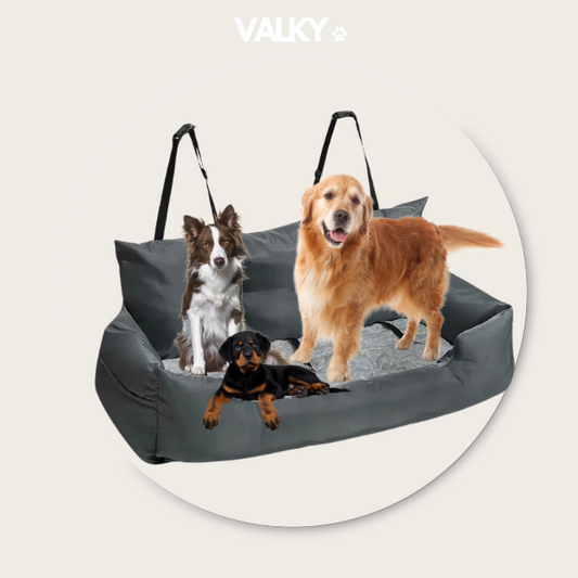 FurLounge - Car Sofa