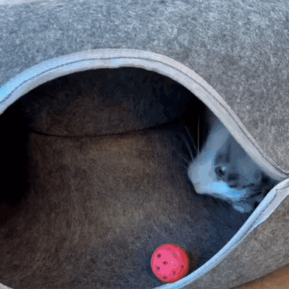 ValkyCurl™ — The Calming Tunnel Bed