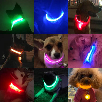 BrighPaw - Glowing Collar